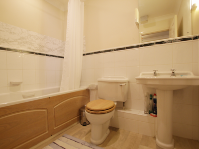 Picture 11